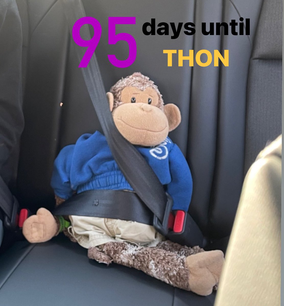 SFdaysuntilTHON's tweet photo. Mojo is reporting on National Seatbelt Day to say Buckle Up! We’re only 95 days till THON🚗 https://t.co/GFhEEmFeZH