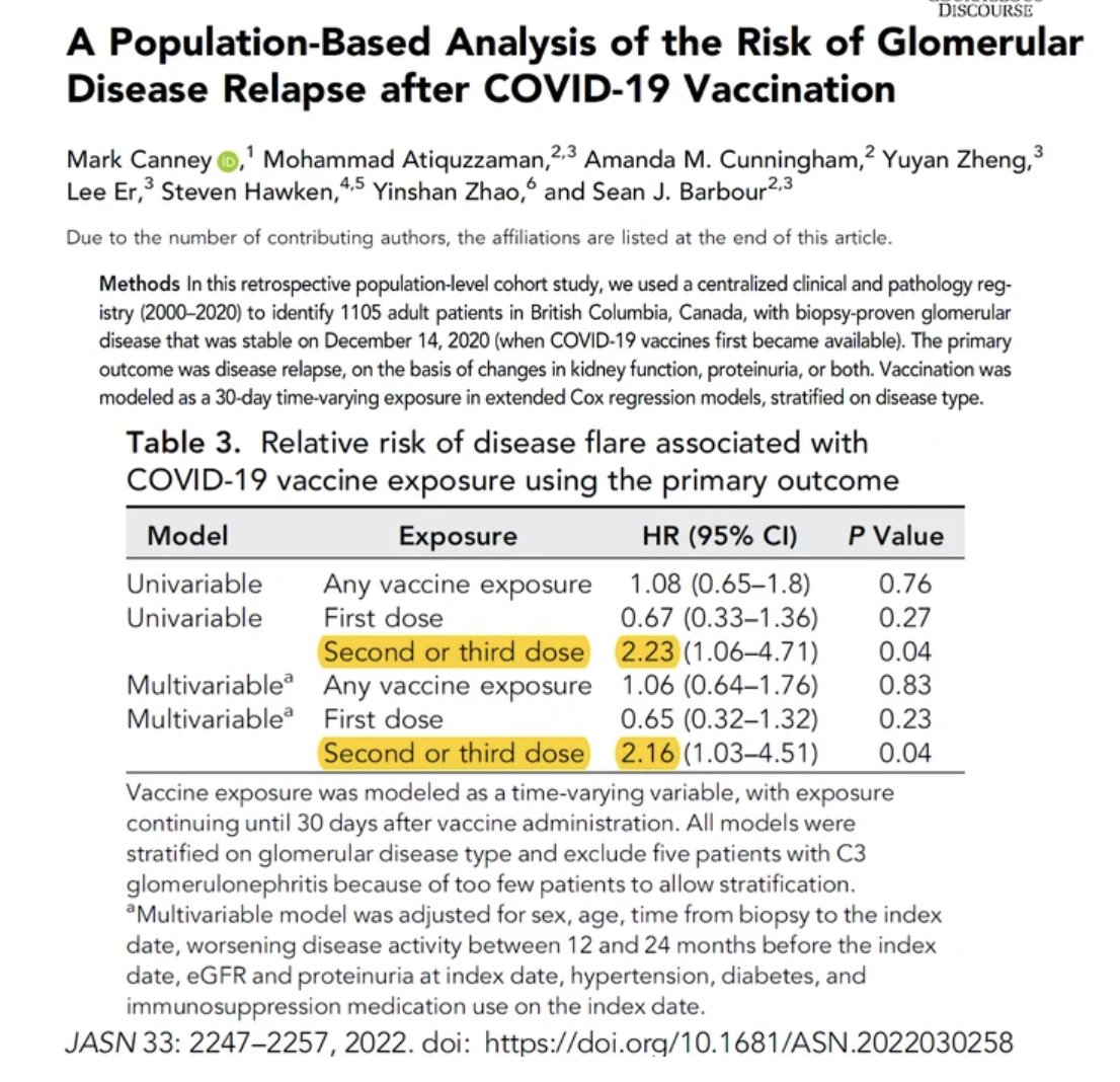 Histopathology Of Glomerular Diseases Springerlink My XXX Hot Girl