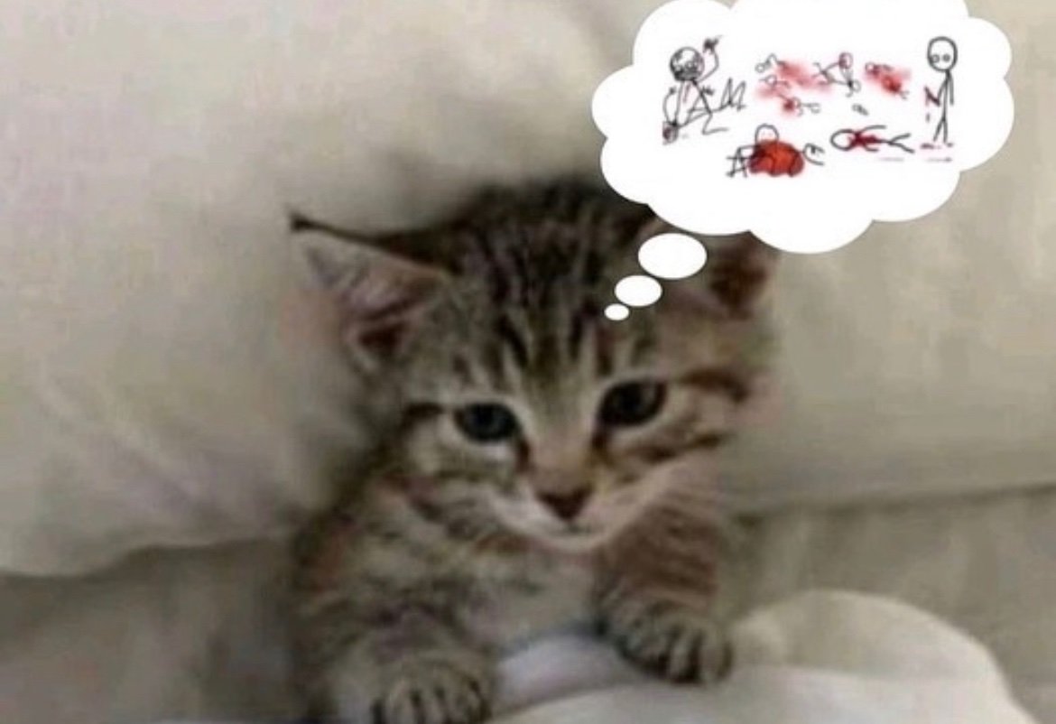 𝑽𝑬𝑺𝑺𝑬𝑳 | (SH) (@timedefect) on Twitter photo 