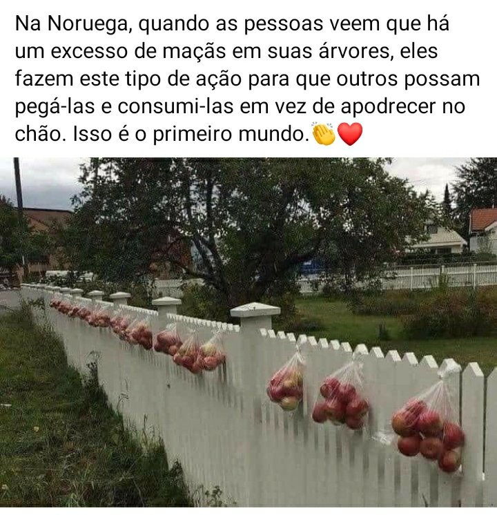 Se fosse aqui o Deus Mercado castigaria esses comunistas 😡😎🤣