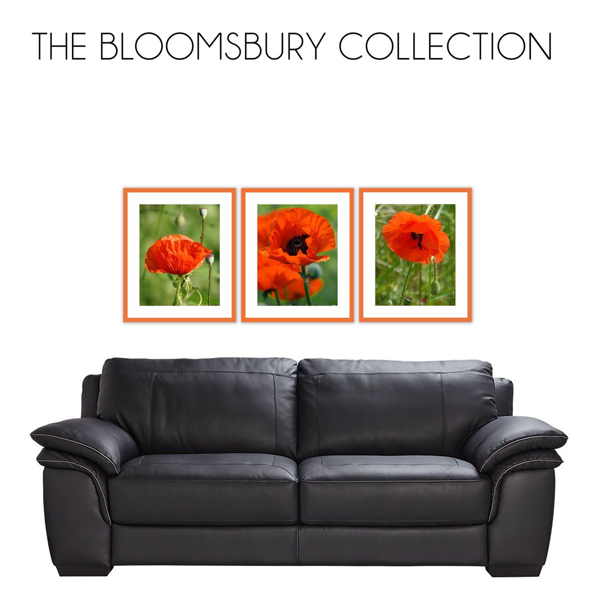 picturegallery's tweet image. Our Picture Gallery Walls website is proving to be very popular: 
picturegallerywalls.co.uk 
Order your gallery wall frame collection today and turn a boring plain wall into a work of art! #GalleryWallFrames