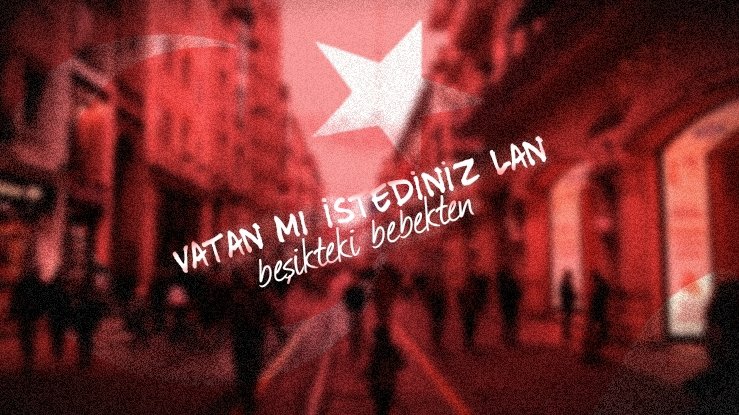 Vatan mı istediniz lan, beşikteki bebekten!