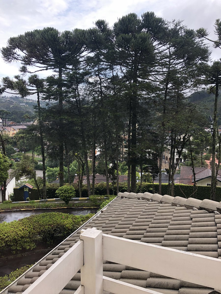 “…da mais louca alegria, que se possa imaginar…”