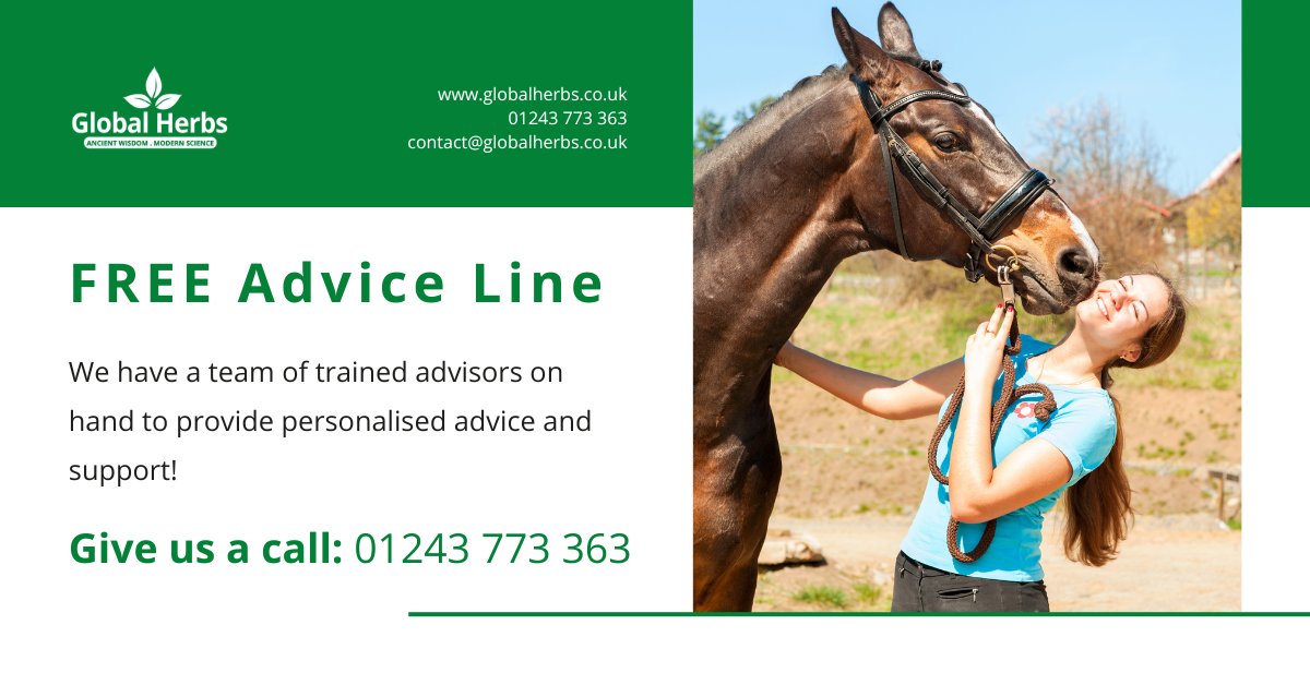 Did you know we have a FREE advice line? 

Our educated and skilled advisors are always on hand to advise on the best Global Herbs products to support your horse, no matter the issue 🐴  

📞 Give us a call at 01243 773 363.

#Horse #Equine #EquineSupplements