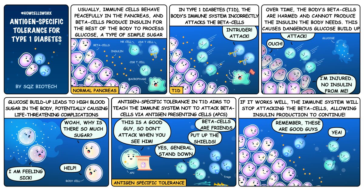 In recognition of #WorldDiabetesDay, we’re revisiting this #HowCellsWork episode, which looks at how immune tolerance therapies could change the treatment paradigm for #Type1Diabetes &amp; improve patient quality of life. Cc @JDRF