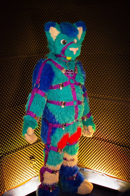 This cat got a new Harness and it&rsquo;s fully lockable 😏  Made from @skipp_wolf   #murrsuit #murrsuitmonday<a href="/tag/murrsuitmonday"class="tags"><span>#murrsuitmonday</span></a><a href="/tag/murrsuit"class="tags"><span>#murrsuit</span></a>