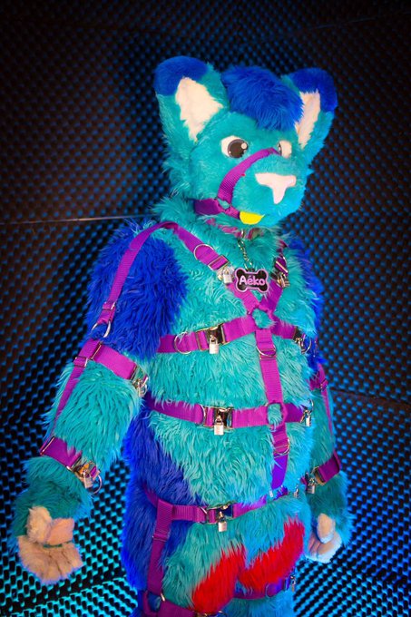 This cat got a new Harness and it&rsquo;s fully lockable 😏  Made from @skipp_wolf   #murrsuit #murrsuitmonday<a href="/tag/murrsuitmonday"class="tags"><span>#murrsuitmonday</span></a><a href="/tag/murrsuit"class="tags"><span>#murrsuit</span></a>