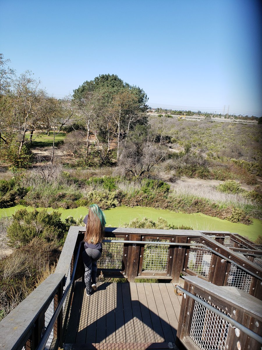 PsychoAape's tweet photo. #GM frens !   Weekend hike i did with the lady ... 

#hike #apocalypticfitness #nicedayforawalk https://t.co/jPifRBKWBT