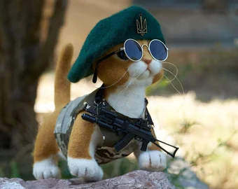 numosss's tweet photo. @swisscryptocat #catosarmy https://t.co/LVFDUYFOST