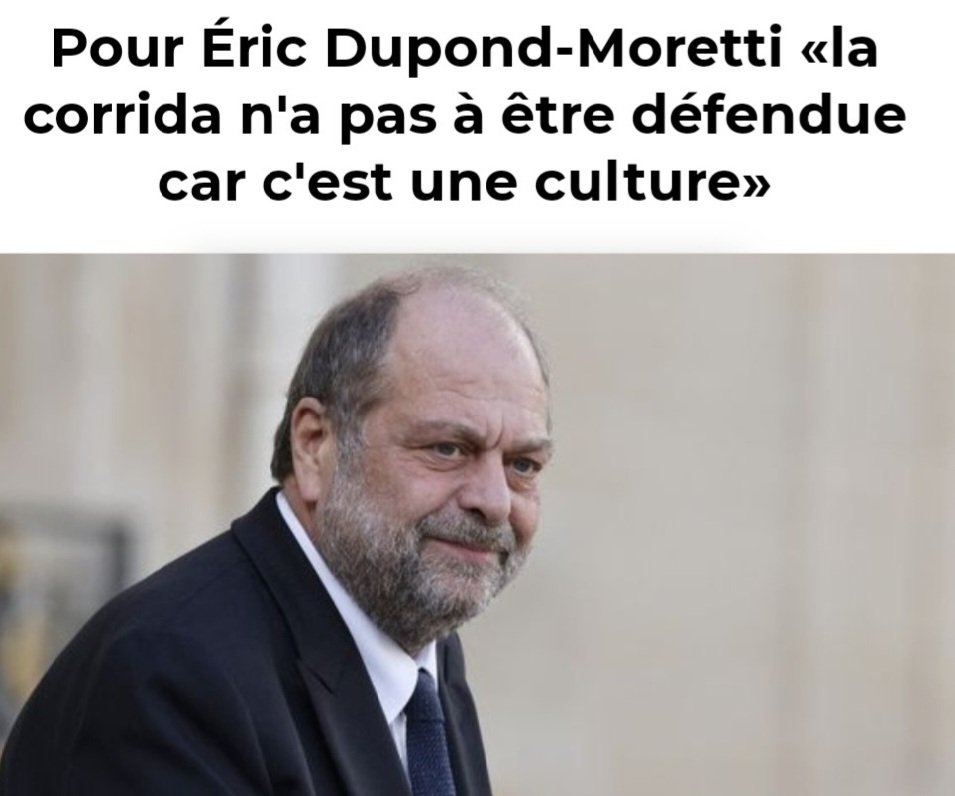 NathalieRenard tweet media