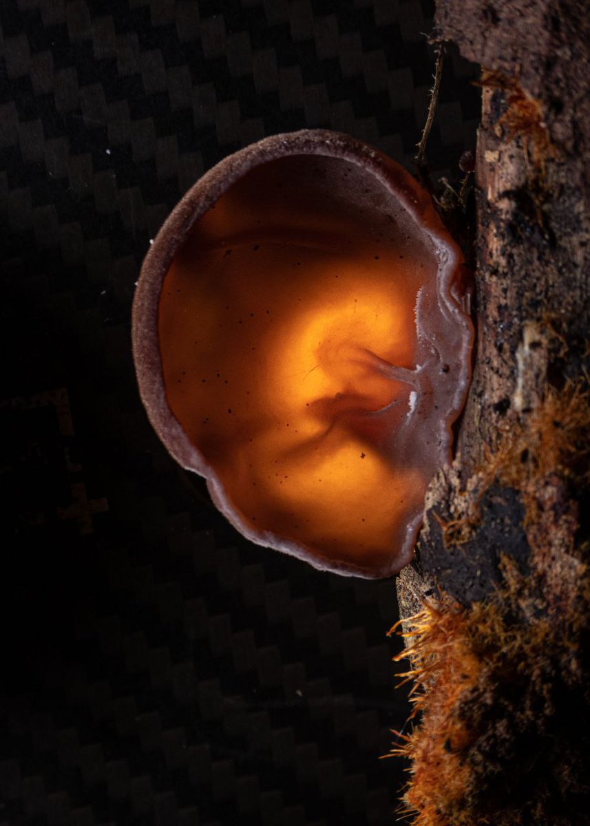 Livinteresting tweet media