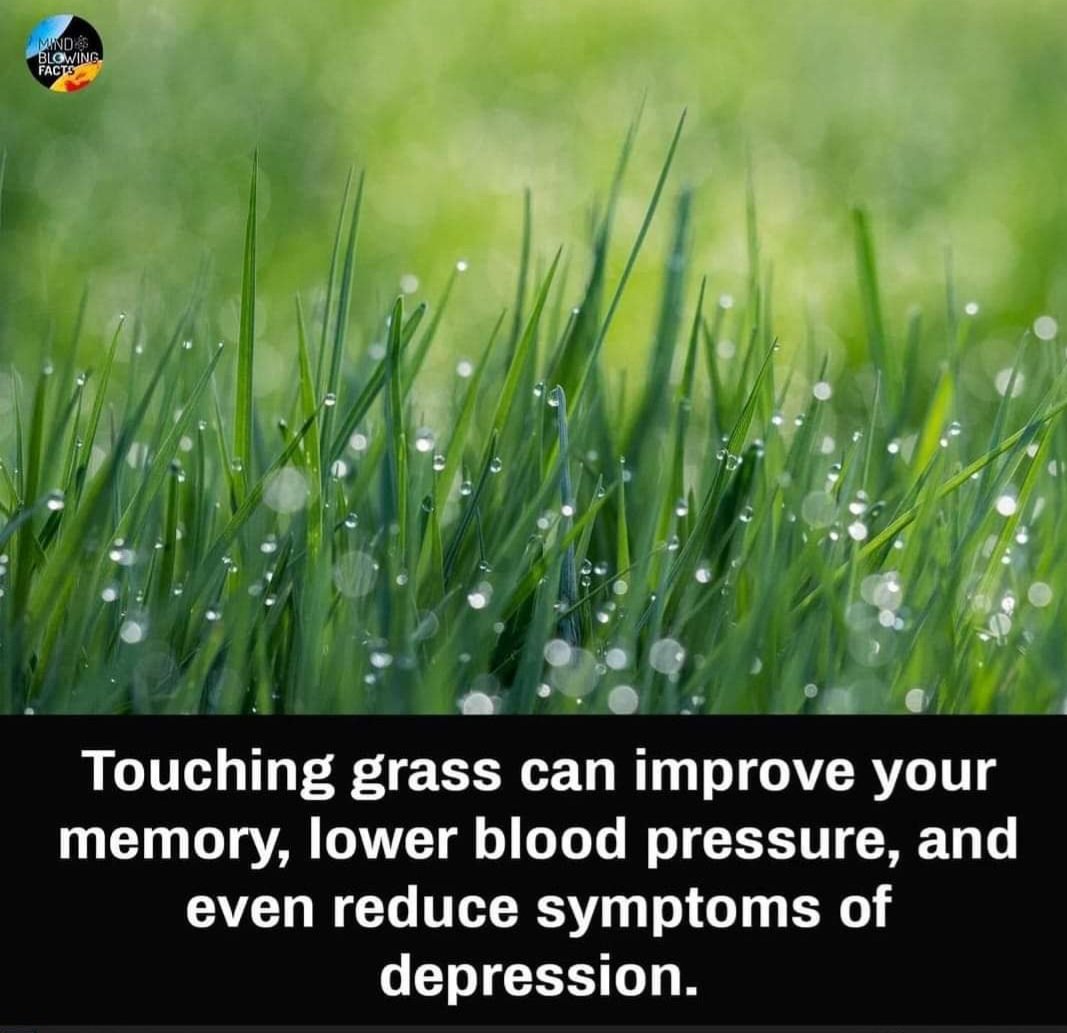 bluegroundforce's tweet photo. Quite the opposite for me when someone is touching my grass! #GetOffThePitch #Walkaround https://t.co/Cj0gmF23ix