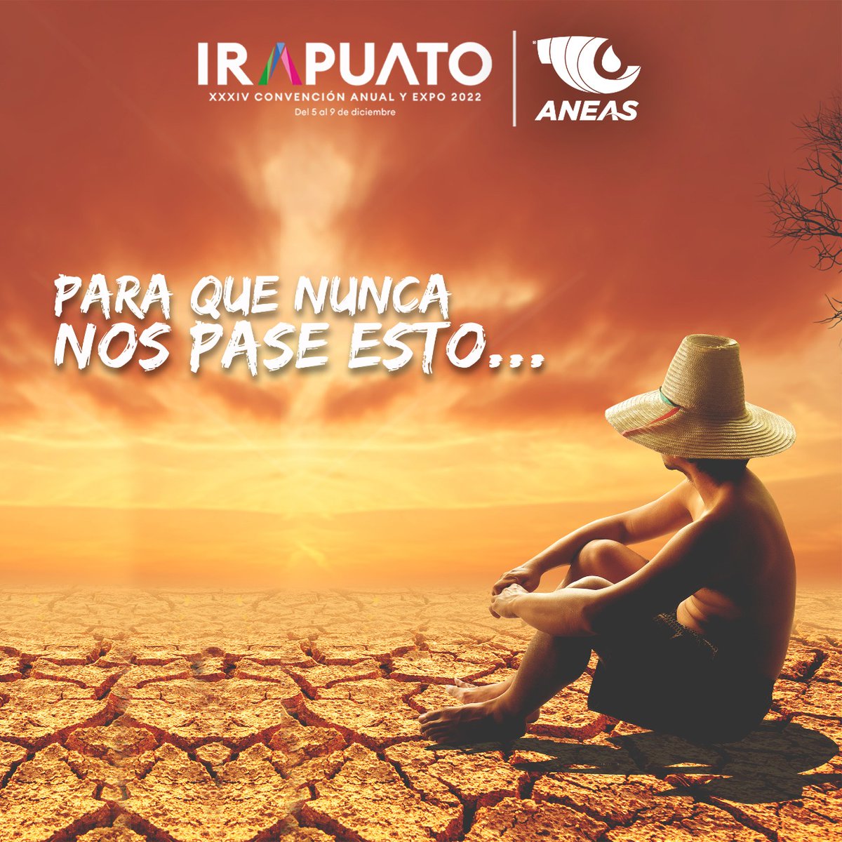 Analizaremos la situación actual del #agua 💧 y su prospección.
INSCRÍBETE YA: convencionaneas.com

Del 5 al 9 de diciembre: #ConvencionANEAS2022 🌊🍓

#ANEAS #Irapuato
