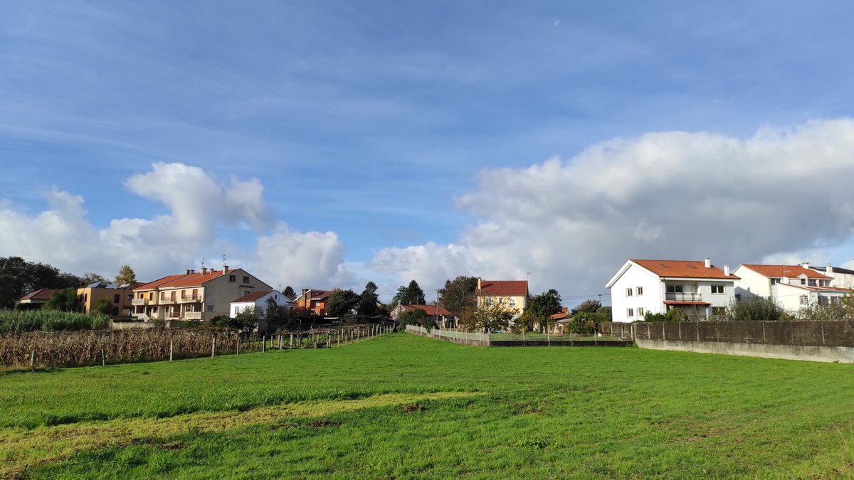 Buenas mañanas y tardes de lunes!! 🤗

Nublado a ratos, 14°. La hierba sigue creciendo 🤭
#FelizSemana #Galicia