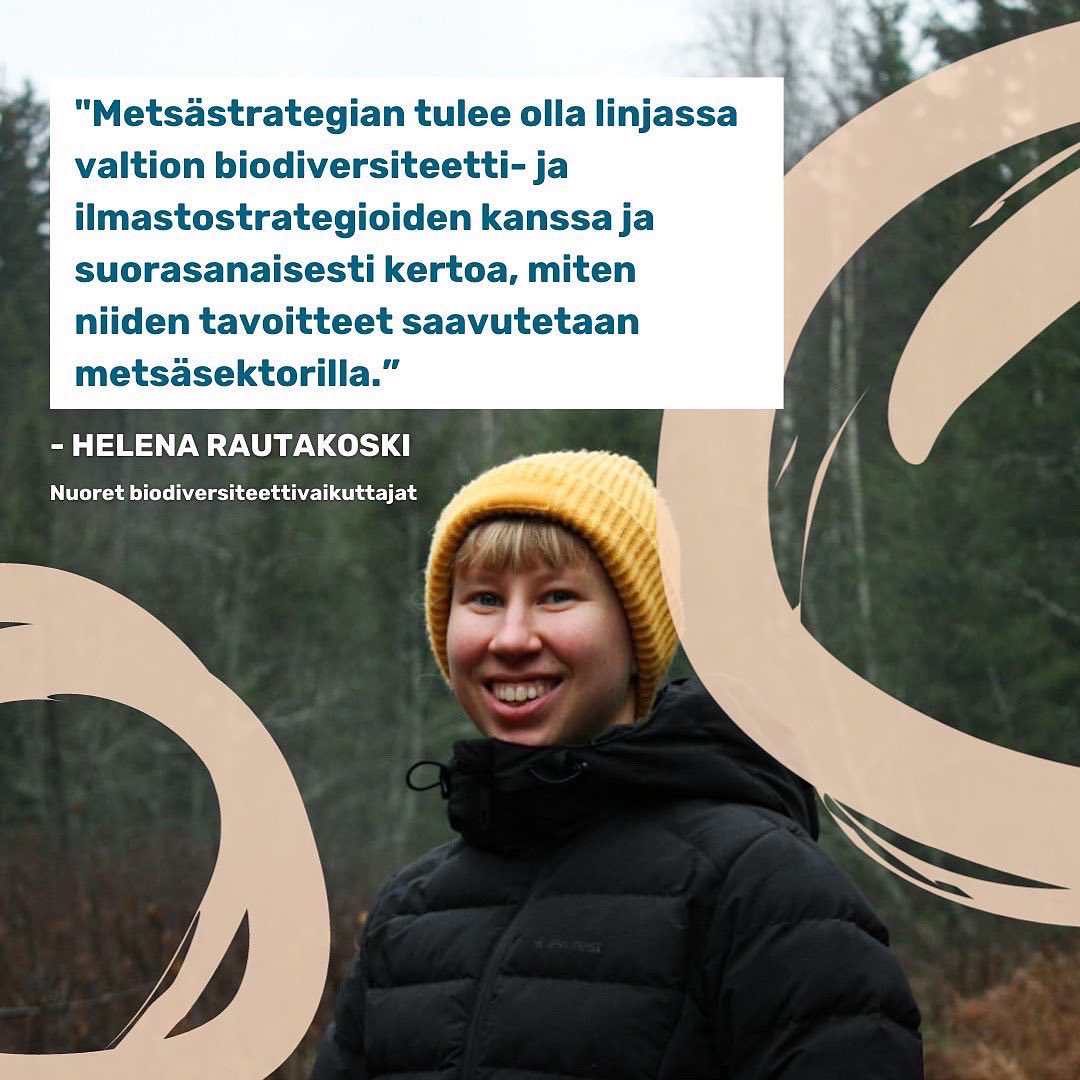 1/5 <a href="/mmm_fi/">MMM</a> valmistelemassa metsästrategiassa sitouduttava vahvemmin luontokadon ja ilmastokriisin hidastamiseen!