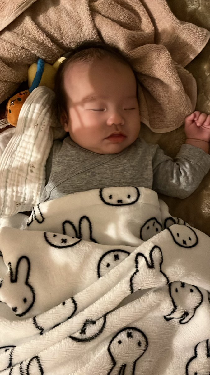 gmmakd's tweet photo. 最近の寝顔集 https://t.co/5P0jvn1X45