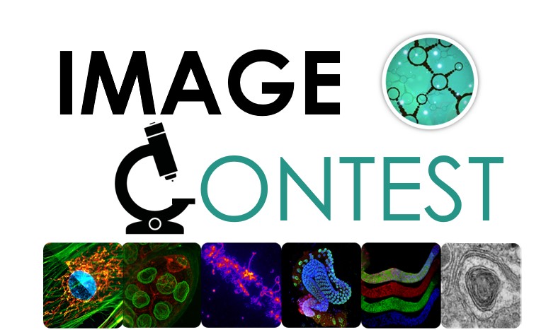 France-BioImaging Research Infrastructure tweet media