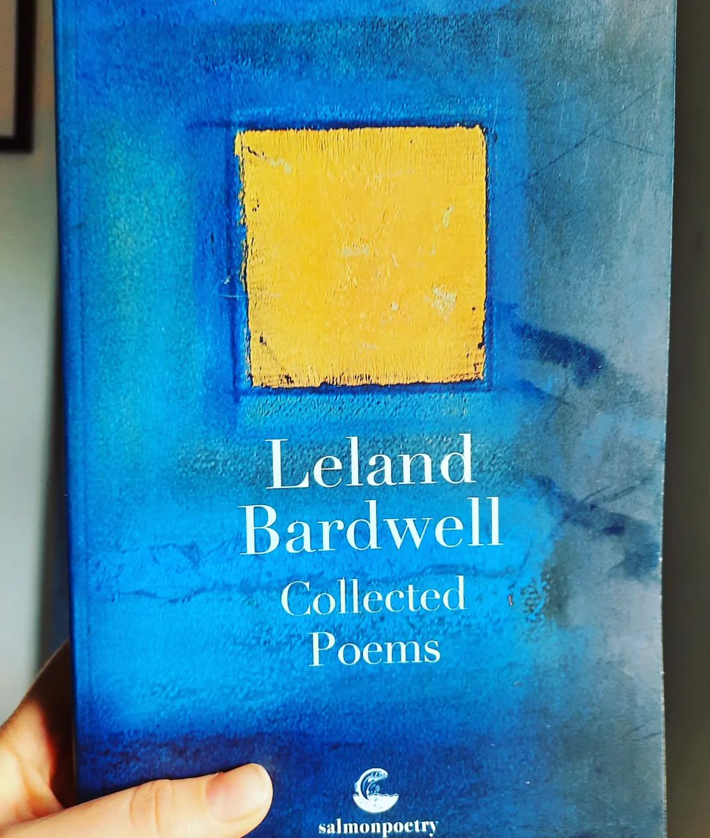 Annemarie Ní Churreáin tweet media