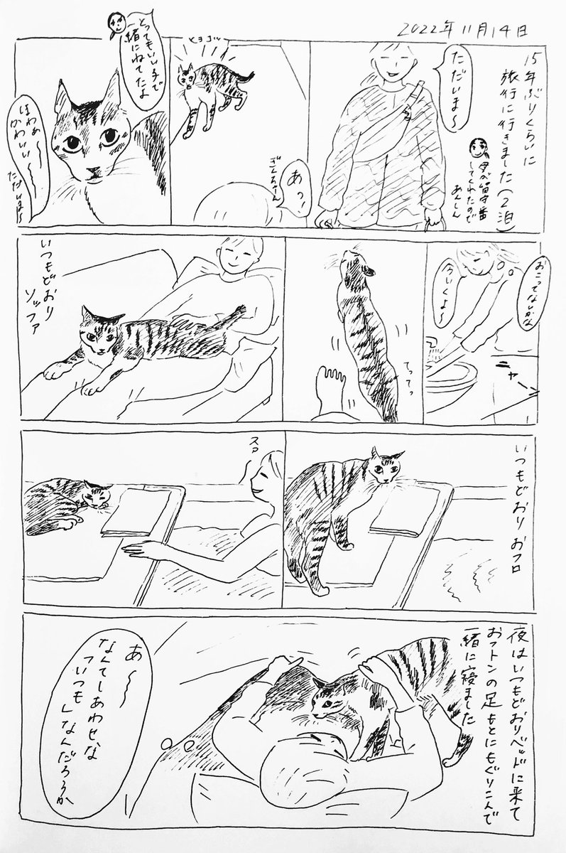 2022/11/14のぎんちゃん #今日のぎんちゃん 