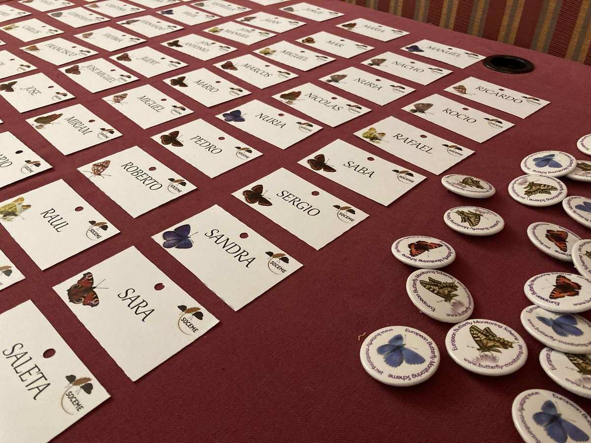 europebutterfly's tweet image. Last weekend was held the 1st Annual Butterfly Volunteer Meeting in Spain 🇪🇸 with more than 70 butterfly lovers involved in the #SpainBMS to share experiences, talks and create a big butterfly community. Thanks to the administration and #SPRINGproject for covering the costs.