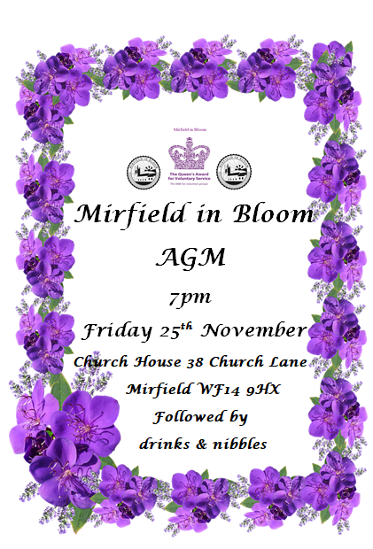 xinesykes's tweet photo. @mirfieldinbloom https://t.co/XuCd6oQvCc