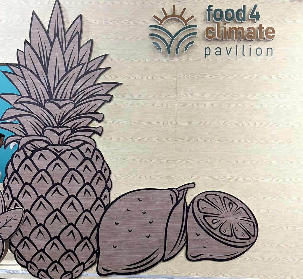 Megan Morikawa tweet media