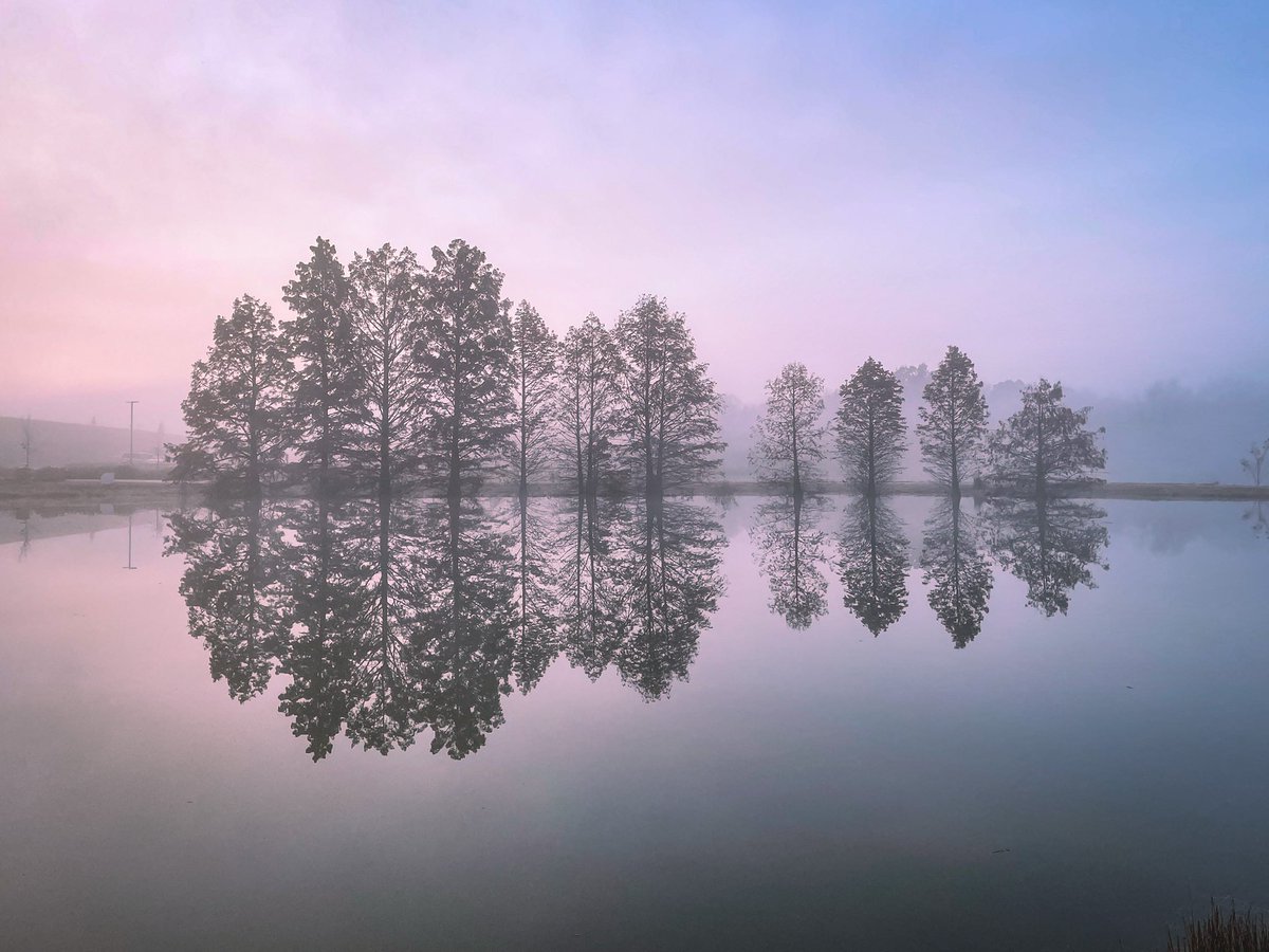 hamlin_jay's tweet photo. Foggy GM https://t.co/dV6csNALiG