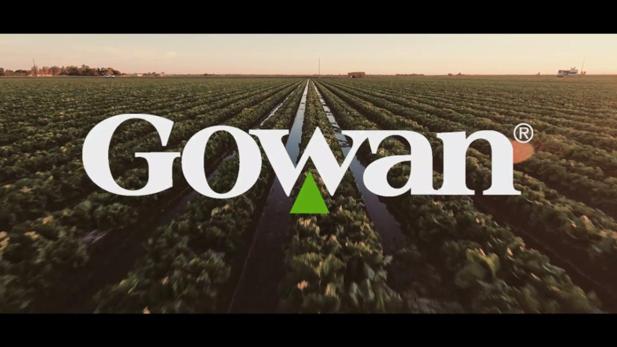 Yuma Multiversity (YMVC) tweet media