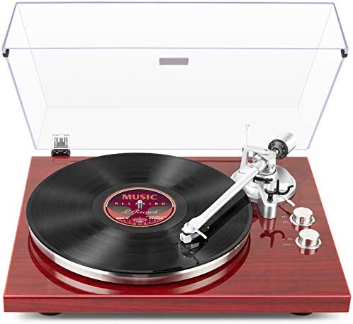 TylerLoch's tweet photo. @NanoRaptor I prefer using traditional disk turntables. There’s just no comparison to its data stream’s warmth. https://t.co/mrxLLsu1vA