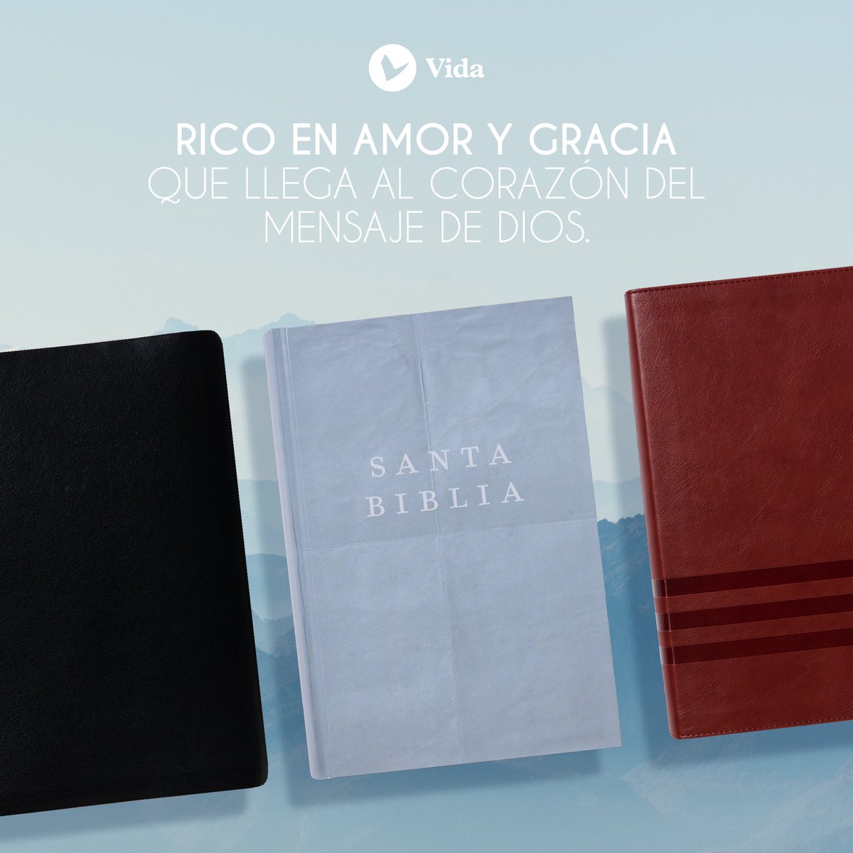 Editorial Vida tweet media