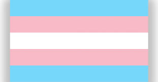 At NCIC we are proud to be supporting Transgender Awareness week, running from 13 – 19 November. An opportunity for us to help raise the visibility of transgender people and address issues members of the community face. #TransAwarenessWeek