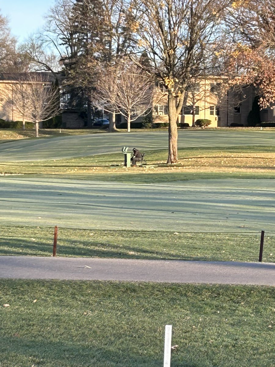 Folding chair to a blowout <a href="/RedRunTurf/">Rob Steger, CGCS</a> must be a Monday