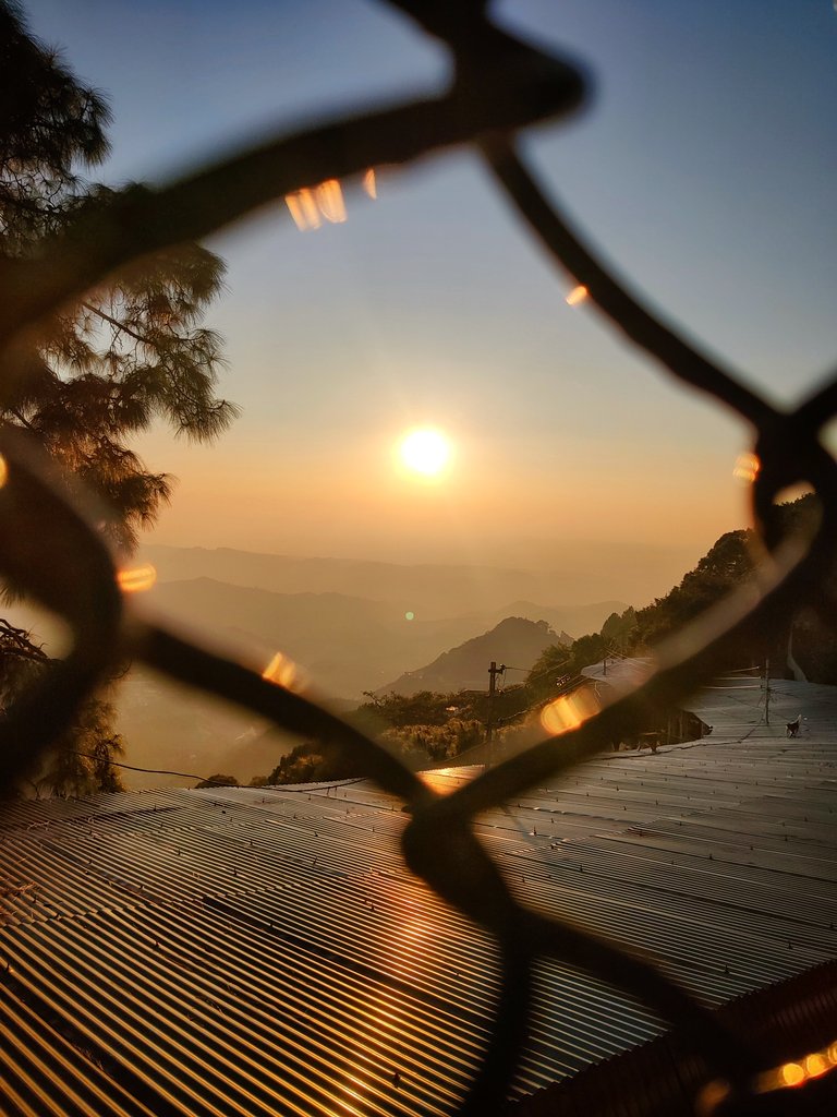 Romancing The Food tweet media