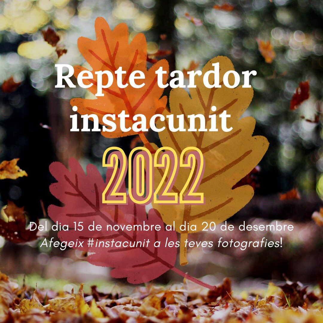 InstaCunit tweet media