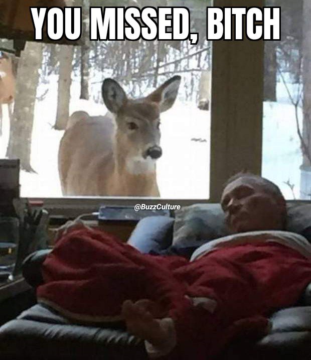 That's a shame... #Funny #Hunting #Deer #FunTimes #DeerSeason