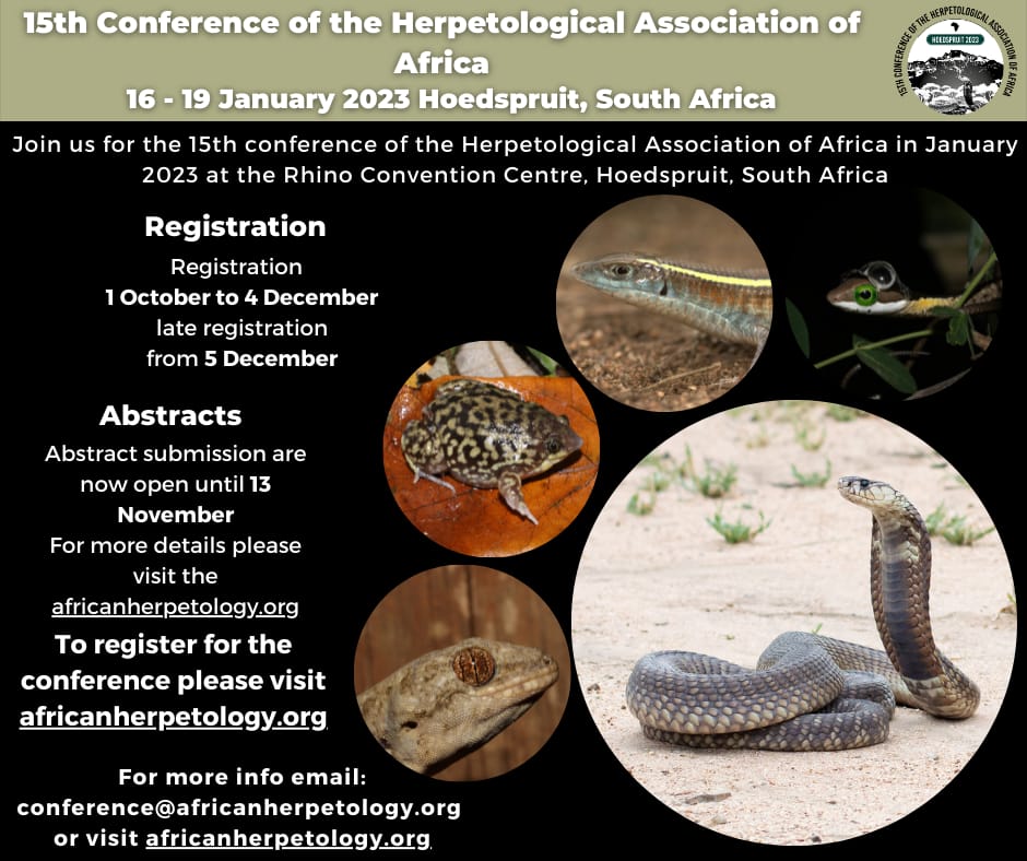 HerpAssociationAfrica (@africaherp) on Twitter photo  HerpAssociationAfrica (@africaherp) on Twitter photo