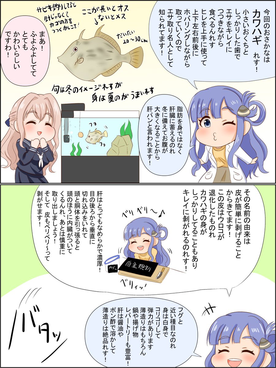 おしえて!ななみせんせい!カワハギ編
#浅利七海 