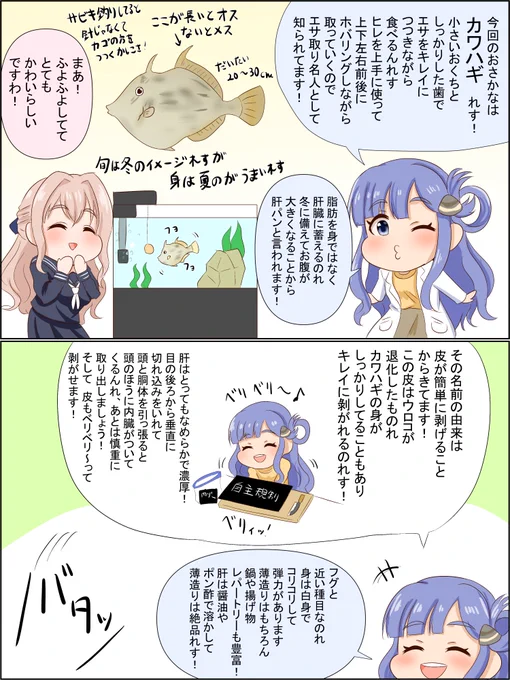 おしえて!ななみせんせい!カワハギ編
#浅利七海 
