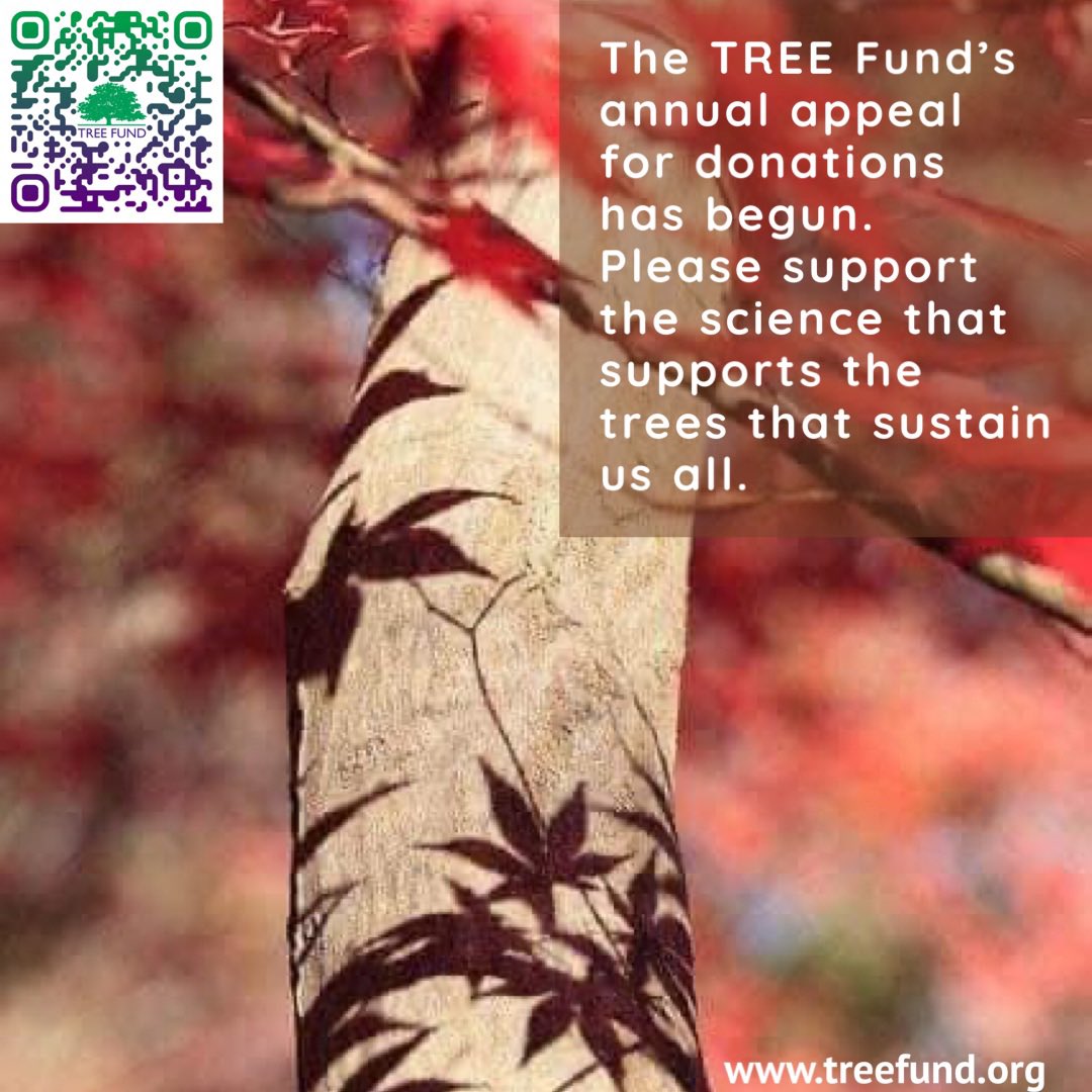 TREE Fund (@tree_fund) on Twitter photo 
