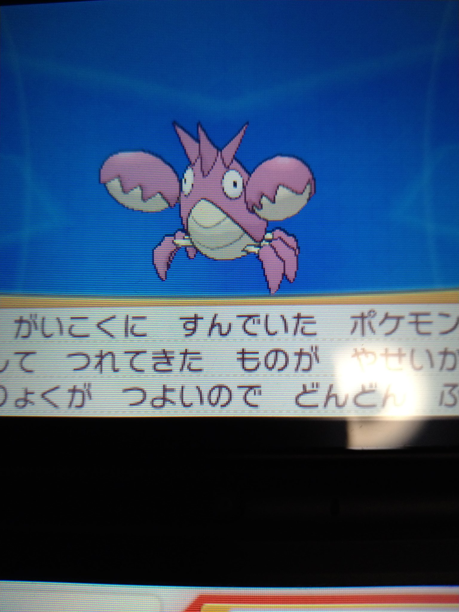 国際孵化 Twitter Search Twitter