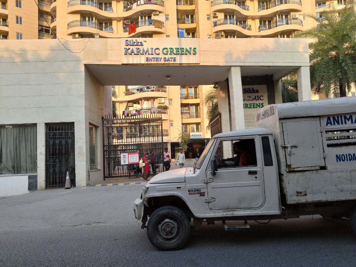 <a href="/GreenKarmic/">Karmic Green Social Welfare Society</a> <a href="/rituias2003/">Ritu maheshwari</a> डॉग कैचर वैन द्वारा उक्त स्थल पर भ्रमण करने पर एक स्ट्रे डॉग को पकड़ा गया है।