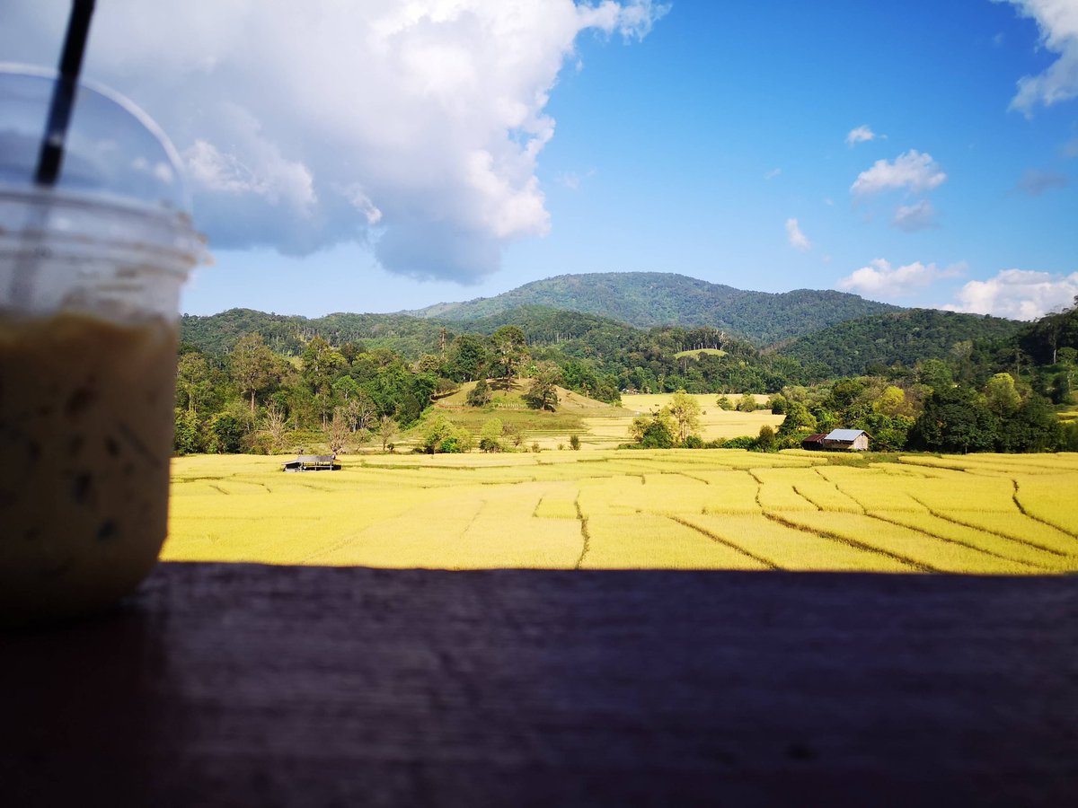 TinaromZz's tweet photo. ได้เห็นแค่ปีละหน นานๆ เที���ยวที https://t.co/Wehut8TWNT