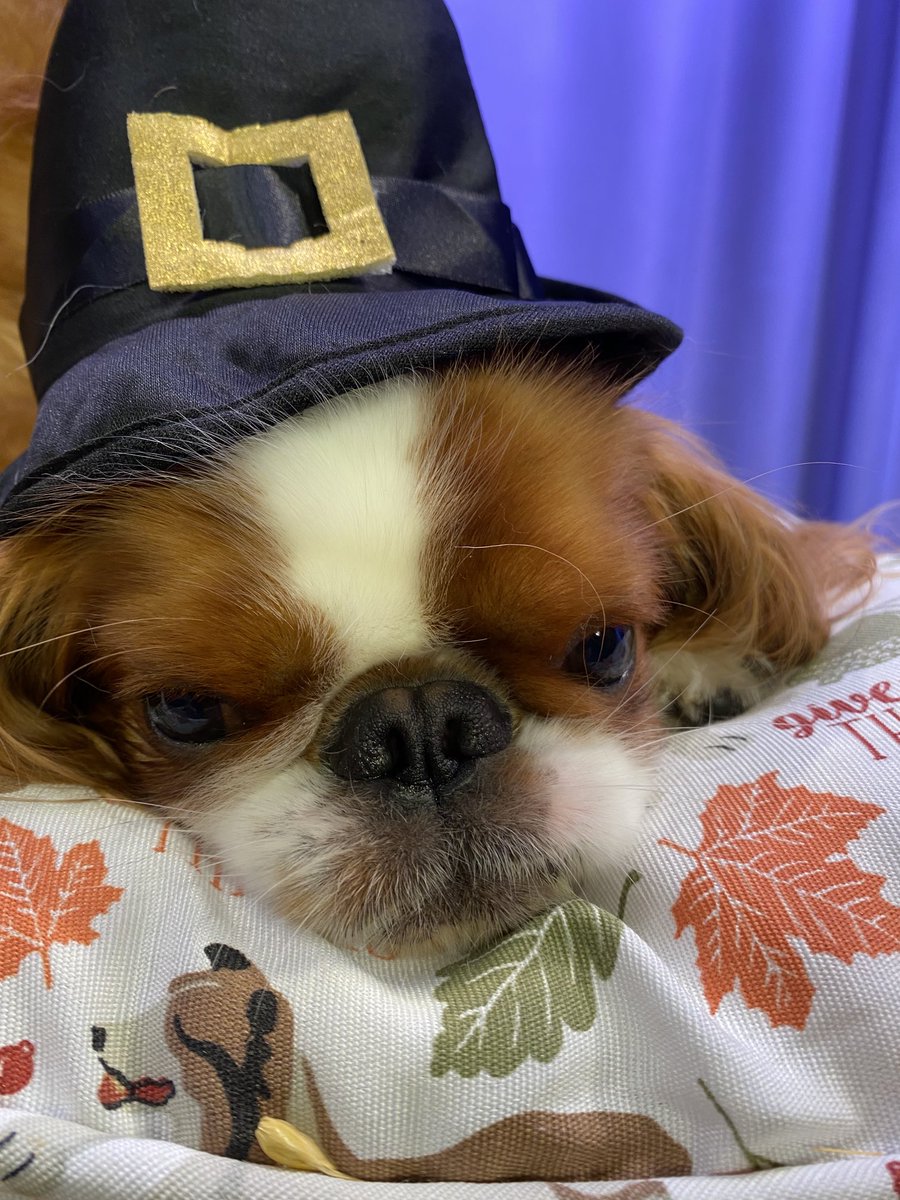 Charlotte Reed (@charlottereed) on Twitter photo 