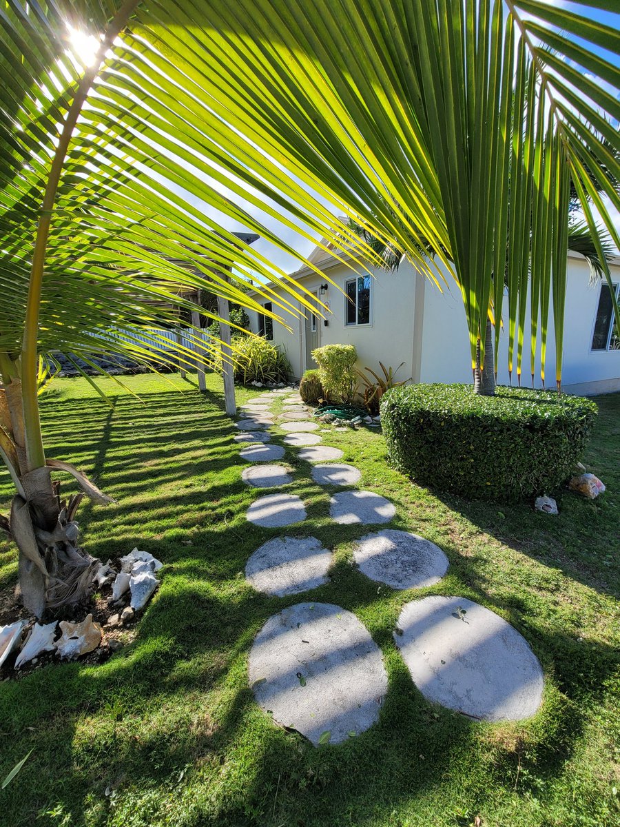 CanuckPalms's tweet photo. Bahamas vacation mode: ON
#exumablue #canuckpalms #kiteboarding #palmtrees #airbnb #kiteboard #kitesurfing #kiteboarding #exuma #exumabahamas #vrbo #superhost #paradise #greatexuma #drone #shadesofblue #paradisefound #kitetrip #bahamas #kitelife #travel #beachlifestyle https://t.co/pvkVNwmNCv