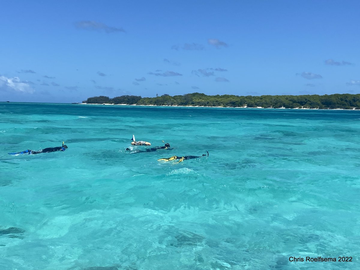 Chris Roelfsema tweet media