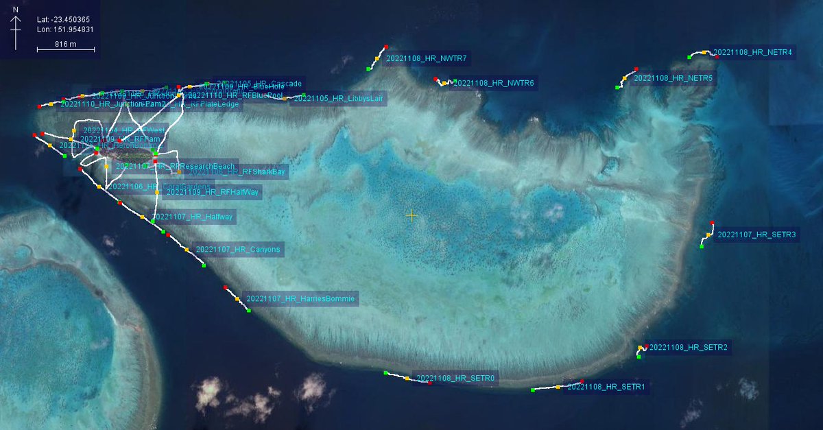 Chris Roelfsema tweet media