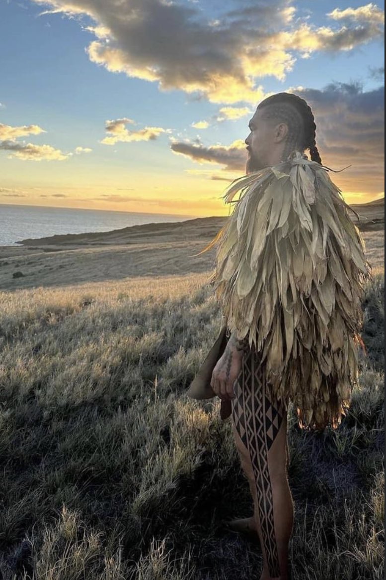 808_CryptoBeast's tweet photo. Cant wait to watch this. Chief Of War. I really hope it depicts the correct historical facts of my people. So much miss information to down right dragging my culture through the mud for the benefit of the tourist industry. #Kanakamaoli #Hawaiian #Cutlture #Nevergiveup #Manawainui https://t.co/LvnZcSSUbX