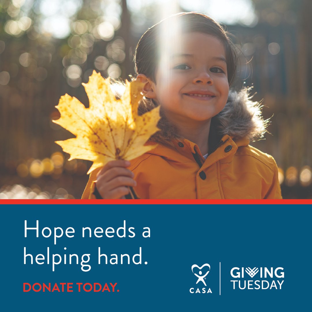 Georgia CASA tweet media