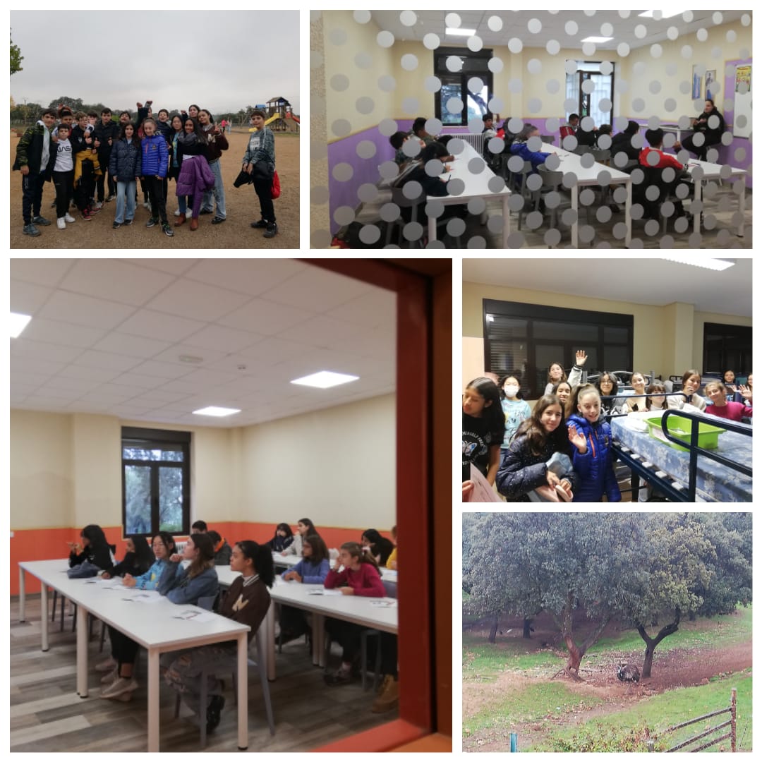 lce_feye's tweet photo. Nuestros alumnos de 1°y 2°ESO,Disfrutando y aprendiendo en la inmersión lingüística desde el minuto 1,en este maravilloso lugar.
#Mohernando #InmersionLingüística #Levántate #colegiosfeye https://t.co/kpoJS5CZLq