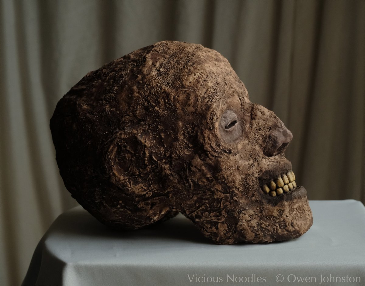 Mummified head, handmade quality from #ViciousNoodles, international shipping from UK via my #Etsy shop. etsy.com/uk/shop/viciou…
#skull #SkullArt #archeology #AncientEgypt #AncientCivilisations #zombie #undead #fossil #horror #halloween #mummy #mummified